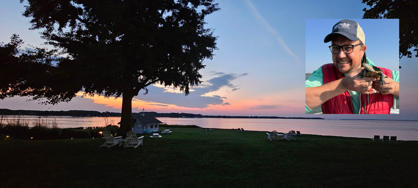 Bay coastline at sunset