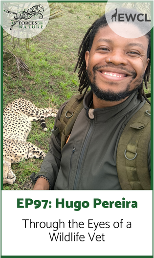 Link to episode 97 with Dr. Hugo Pereira