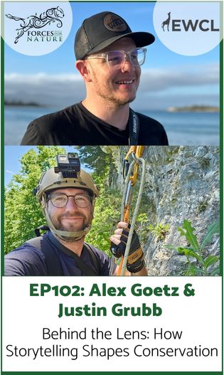 Link to episode 102 with Running Wild Media