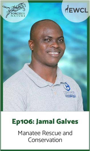 Link to Ep.106 with Jamal Galves, the Manatee Man