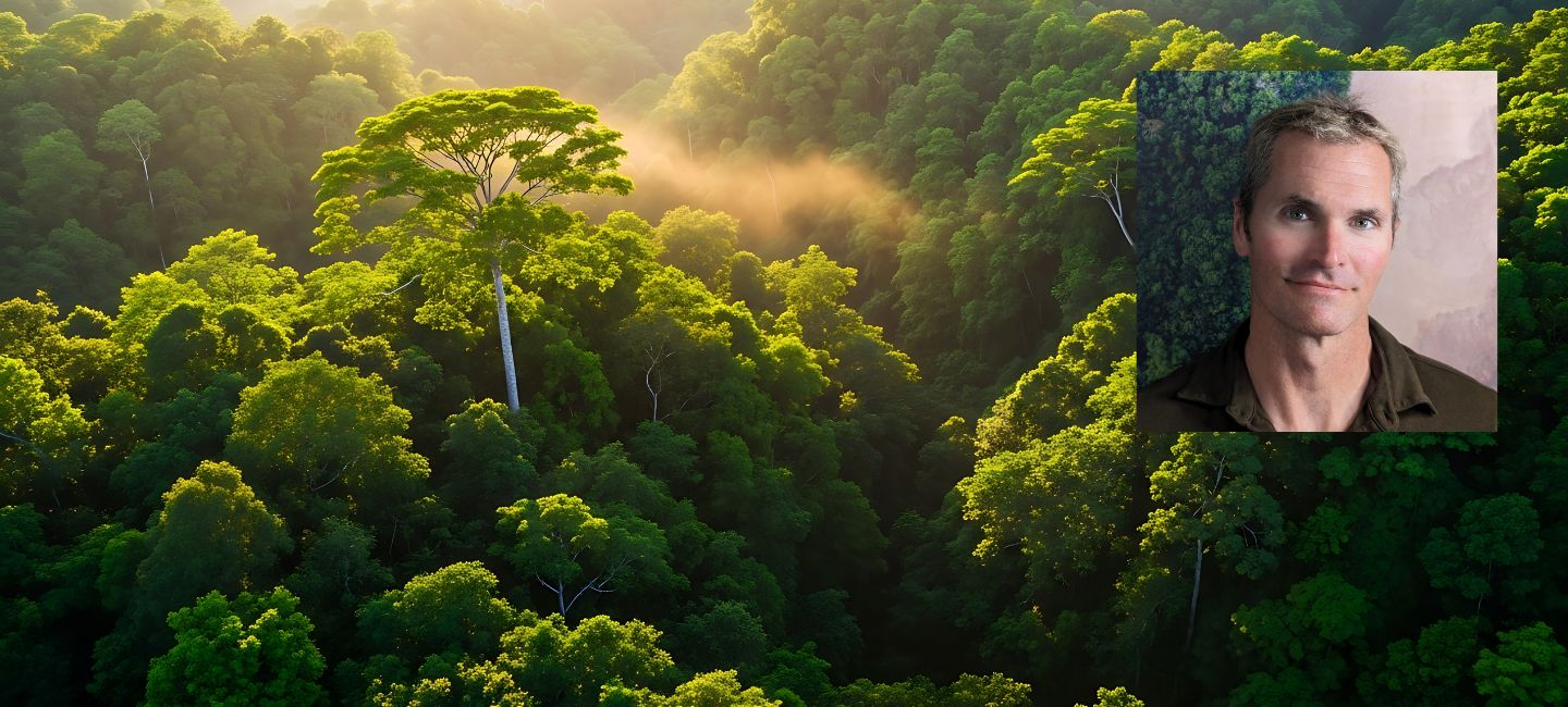 Misty rainforest landscape with image of Rhett Ayers Butler in the corner.