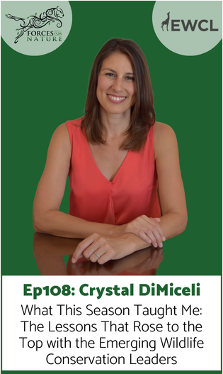 Link to episode 108 with Crystal DiMiceli