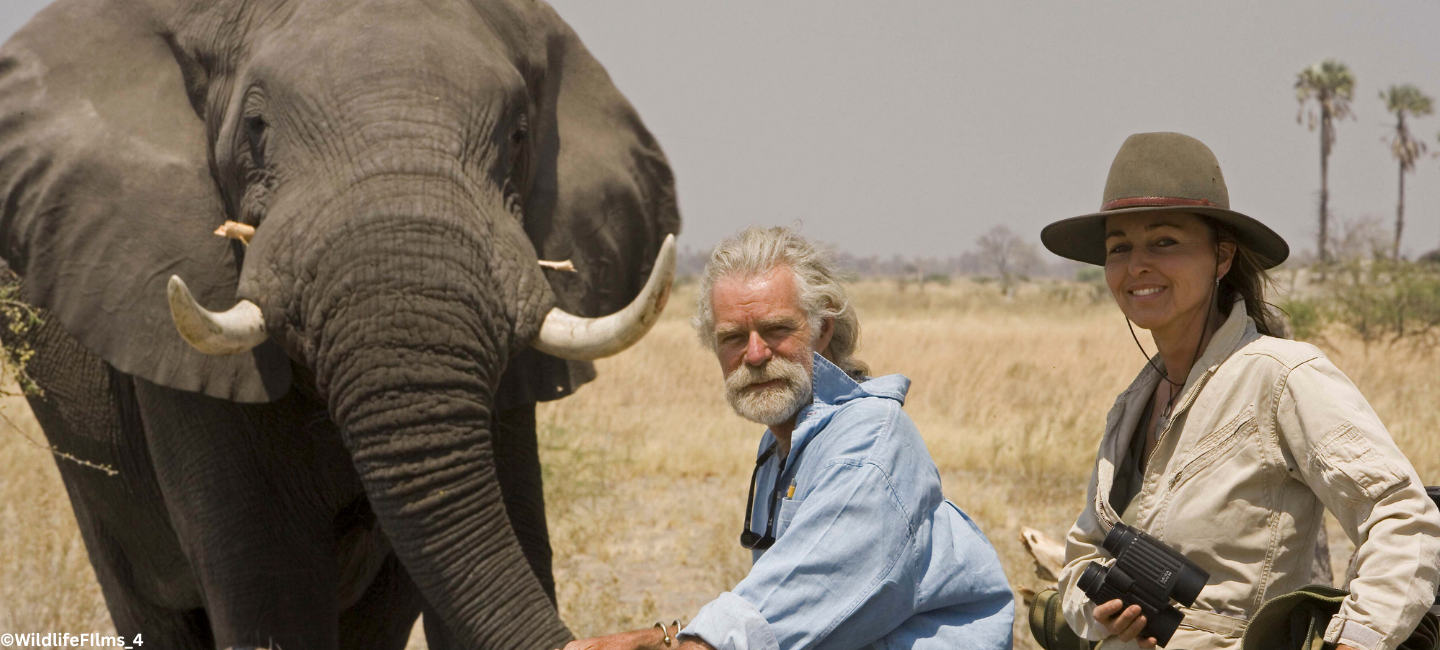 Beverly and Dereck Joubert's filmmaking, photography, and advocacy have helped shape how the world sees, and protects, Africa’s wildlife.